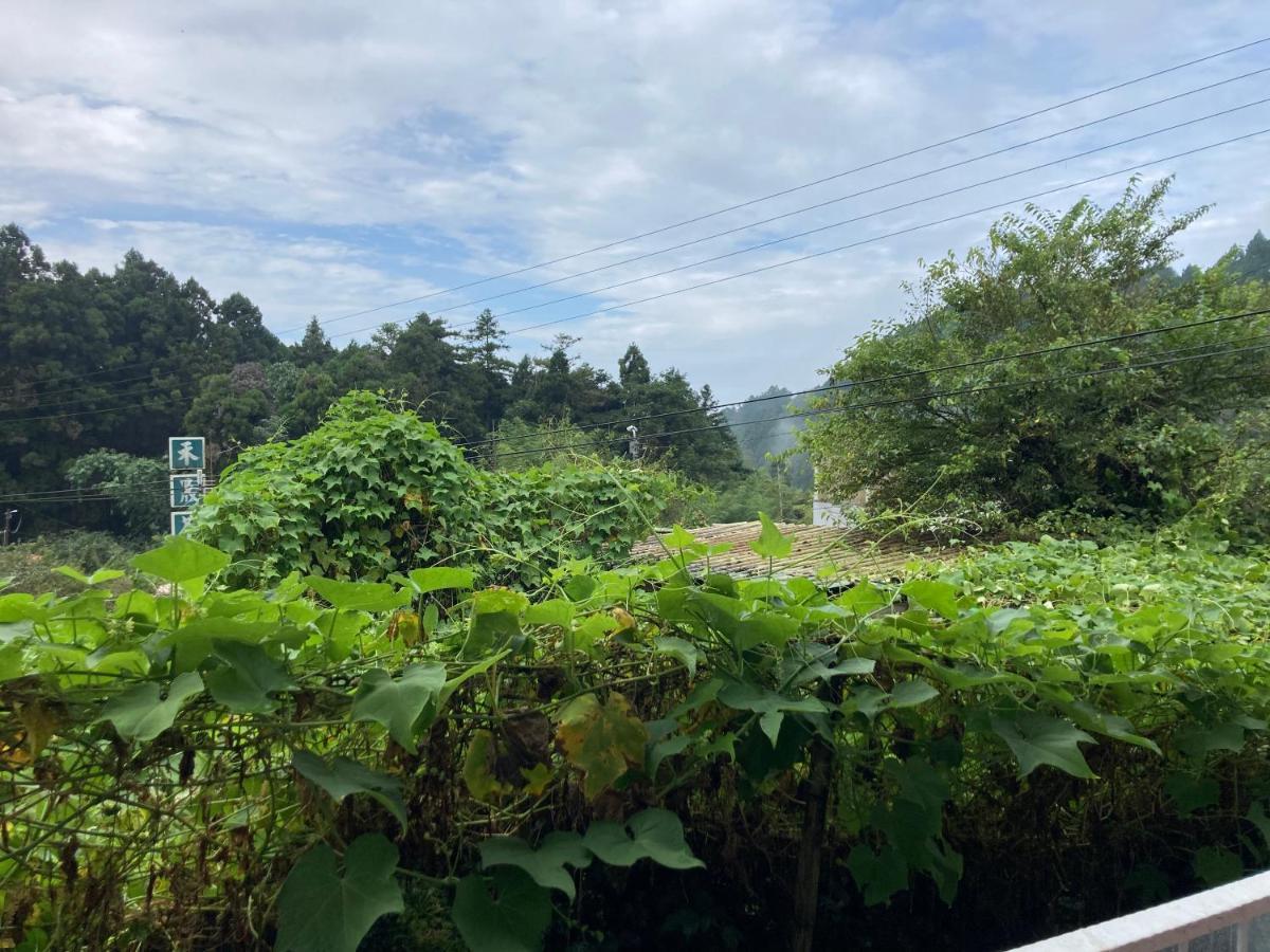 老老街 誠君民宿 Fenchihu Exterior foto